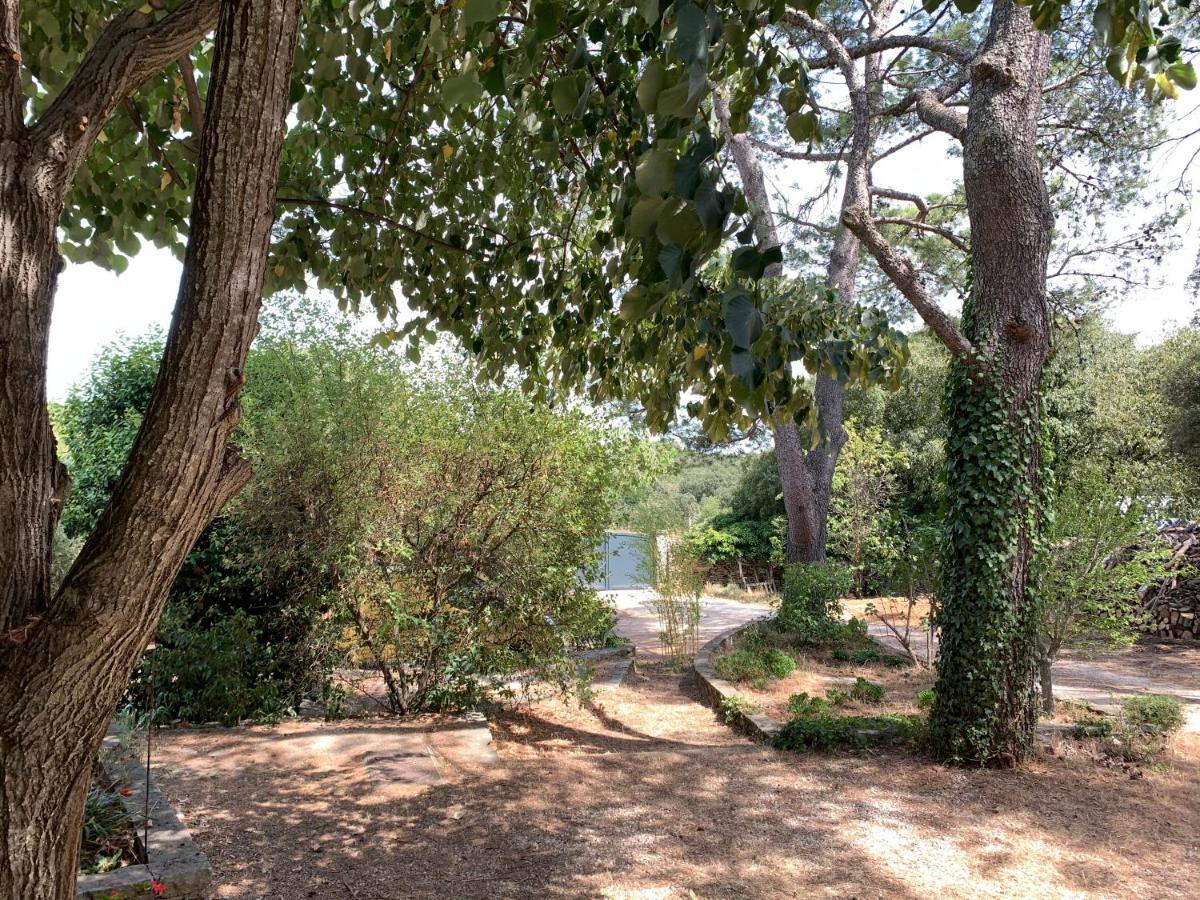 Vila Mazet Proche Golf Nîmes Exteriér fotografie